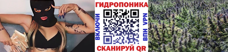 где купить наркоту  Холм  Марихуана марихуана 